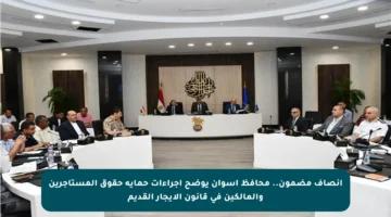 إنصاف مضمون.. محافظ أسوان يوضح إجراءات حماية حقوق المستأجرين والمالكين في قانون الإيجار القديم